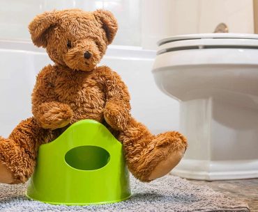 Potty Training Toilet Untuk Anak
