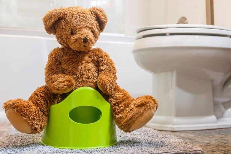 Potty Training Toilet Untuk Anak