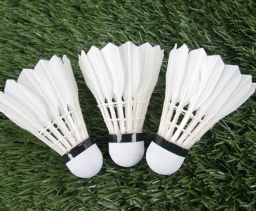 Shuttlecock Terbaik