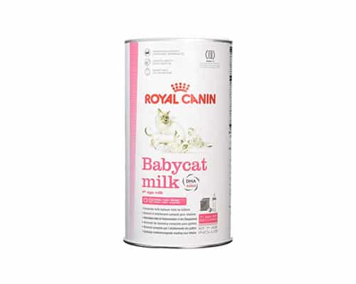 Milk for Cats Royal Canin Babycat Milk