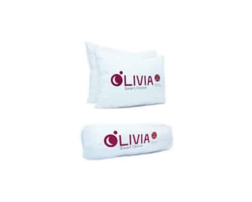 Best Sleep Pillow Olivia Smart Choices