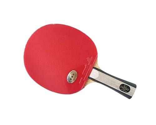 Best Table Tennis Racket Palio Expert 2