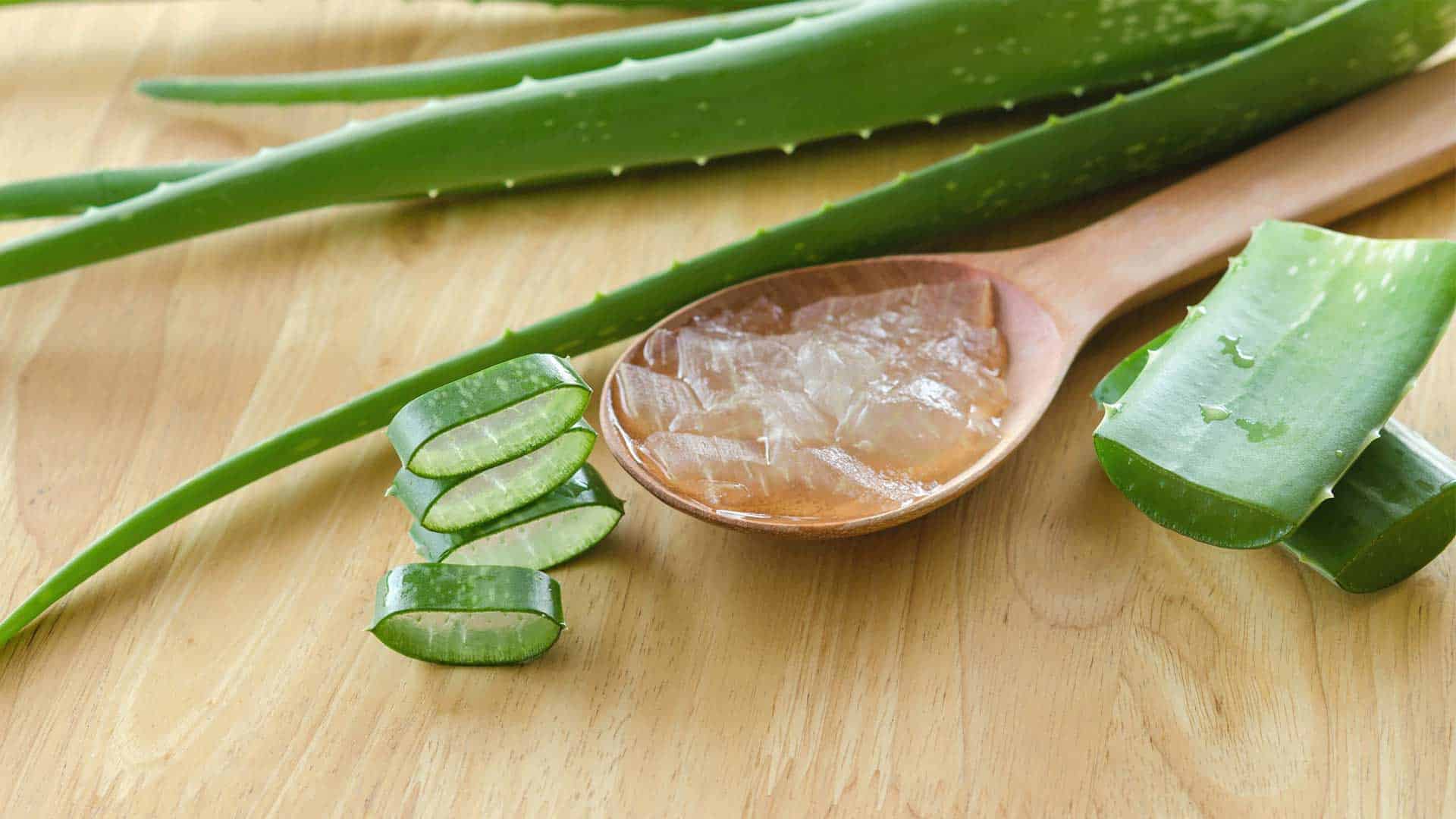 Illustration of Aloe Vera Gel