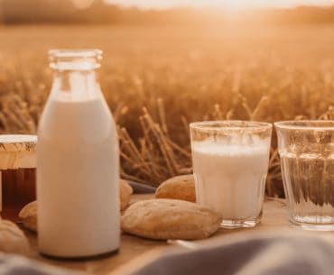 Susu Berkalsium Tinggi Untuk Kesehatan Tulang Terbaik