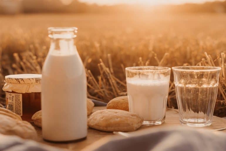Susu Berkalsium Tinggi Untuk Kesehatan Tulang Terbaik