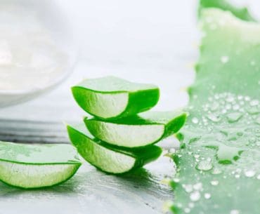 Masker Wajah Aloe Vera Terbaik