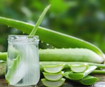 Produk Masker Rambut Lidah Buaya Terbaik