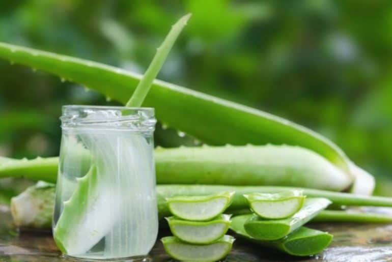 Produk Masker Rambut Lidah Buaya Terbaik