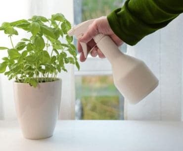 Semprotan Sprayer Tanaman Indoor