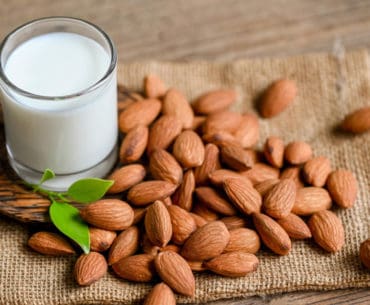 Camilan Tinggi Protein