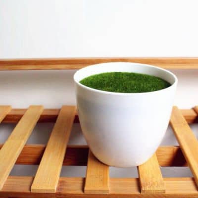 Bentuk Vas Bunga Kaca Terbaik - Kunataruma - Pot Bunga Murah Tanaman Hias