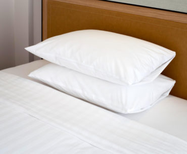 Bantal Bulu Angsa Nyaman