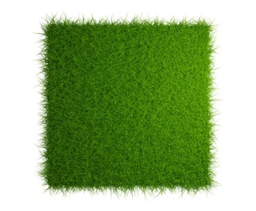 Rumput Sintetis Bagus