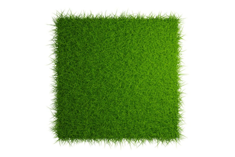 Rumput Sintetis Bagus