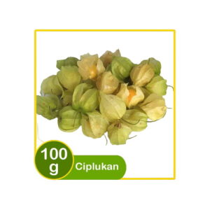 2951 Bandung Farmer Ciplukan 100g