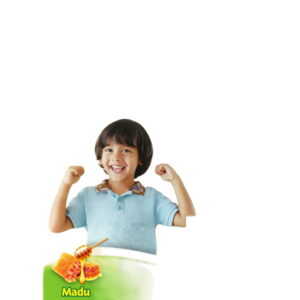 3874 Nestle Datita3 Susu Pertumbuhan Madu Box 850g