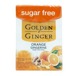 1654 Golden Ginger Flip Top Sugar Free Orange Gingerin 45gr