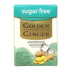 1655 Golden Ginger Flip Top Sugar Free Anisemint Gingerin 45gr