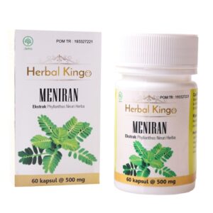 1931 Herbal Kingo Meniran 60 Kapsul 500mg