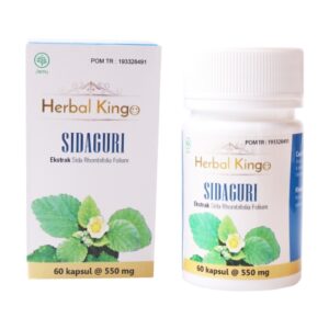 1932 Herbal Kingo Sidaguri 60 Kapsul 550mg