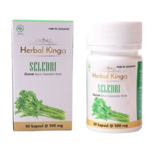 1934 Herbal Kingo Seledri 60 Kapsul 500mg