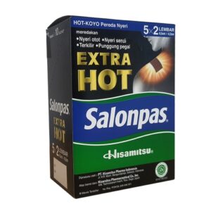 1994 Hisamitsu Salonpas Extra Hot Box 10 Pack 10pcs