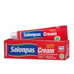 2009 Hisamitsu Salonpas Cream Hot 15gr