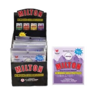 2947 Milton Sugar Free Box Blackcurrant 12 Sachet 165gr