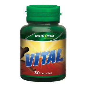 3546 Nutrimax Vital 30 Kapsul