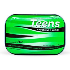 3779 Pagoda Teens Chocomint Flavour 20gr