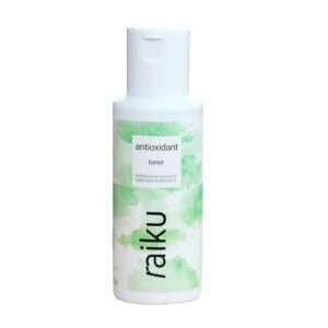 4221 Raiku Antioxidant Toner 100ml