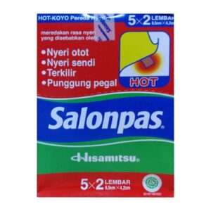 4432 Salonpas Hot 5x2 Box Isi 10 Sachet