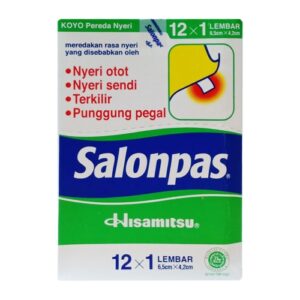 4434 Salonpas 12s Box Isi 10 Sachet