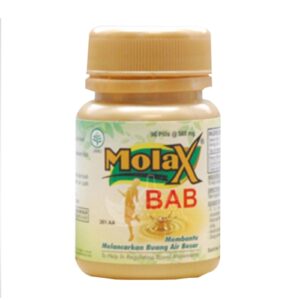 486 Borobudur Molax Bab 90 Pil