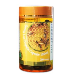 4915 Spring Leaf Propolis 200 Kapsul 1000mg