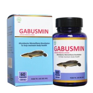 5226 Toga Gabusmin 60 Kapsul
